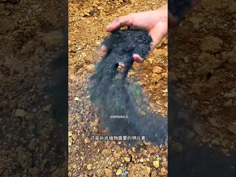 A handful of seeds and a handful of ash, and vegetables grow into a huge pile—