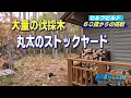 Lagu [No.133] A challenge for those over 60! Building a log house by yourself / Log stockyard