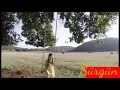 Download Lagu Elif - Sürgün instrumental