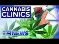 Chain of centres for medicinal marijuana opening across country Nine News Australia