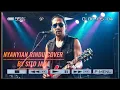 Lagu NYANYIAN RINDU EVIE TAMALA COVER ROCK