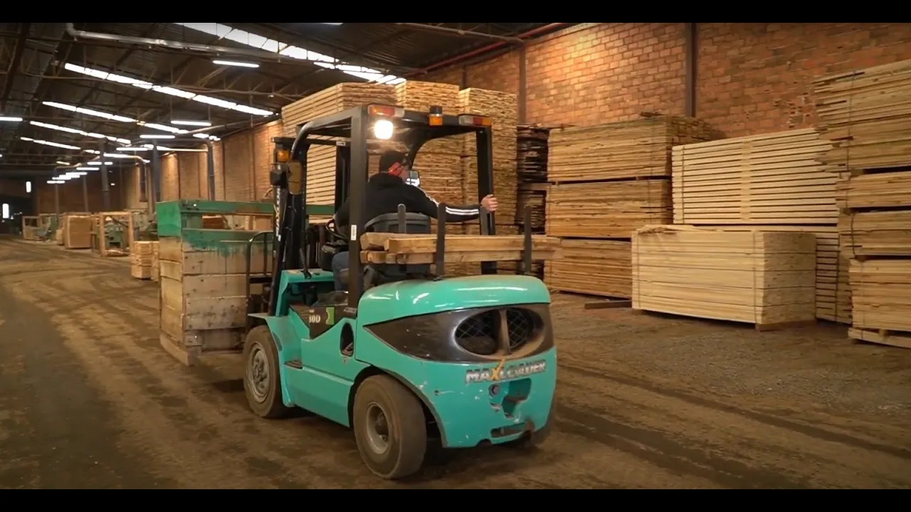 De olho na sustentabilidade, indústria da madeira em SC é modelo para novas gerações