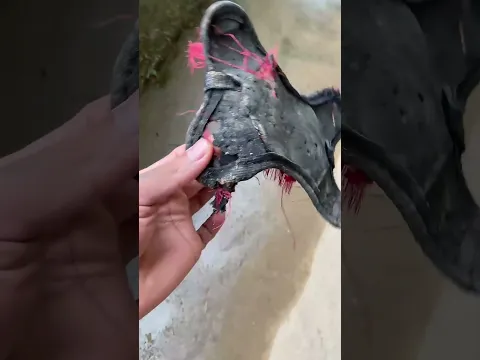 VEJAM SÓ OQUE A CHUPA CABRA FEZ! 😰 *vocês não vão acreditar*