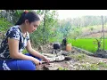 Download Lagu Gadis Dayak || Aktivitas sehari-hari Gadis Suku Dayak di Pondok Sawah