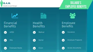 Dillards Employee Benefits Benefit Overview Summary