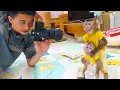 Download Lagu Poki’s Happy Dance When Dad Comes Home – Then Comes the Cutest Photo Time! 🏡💛🐒