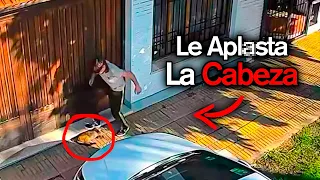 Le PISÓ la CABEZA a Un GATO y RECIBIÓ su MERECIDO