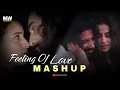Lagu Feeling Of Love Mashup 2024 | Trending Bollywood Love Mashup 2024 | Vishal Mishra | MashupWood