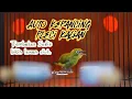 Download Lagu Masteran PLECI GACOR ‼️Solo Leveling✅⚠️Tembakan Ngerik bikin lawan Auto KOCAR KACIR guys😁👌🏻.