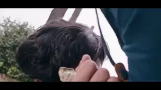 نصرت البدر شكد حرام 