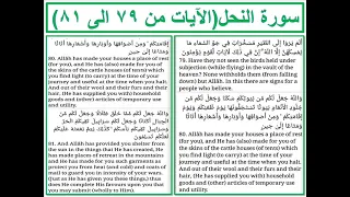 سورة النحل الايات من 79 الى 81 
