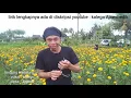 Download Lagu Lindung melalung \