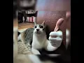 be more chill (part 1) - be more chill - sped up