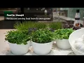 Download Lagu Unilever’s Global Foods Innovation Centre - Real estate for icons