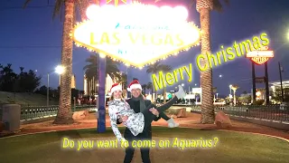 Merry Christmas, and Happy New Year 2021 from Aquarius!