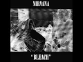 Download Lagu Nirvana   Bleach 1989