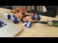 SG90 Servos Pololu Mini Maestro 12-Channel servo Controller Raspberry Pi 3 B setup
