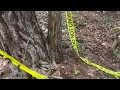 Lynchburg suspicious death victim identified