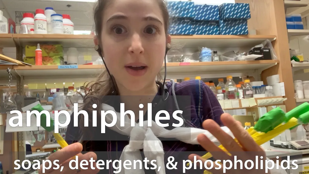 Amphiphiles - soaps, detergents, phospholipids, surfactants, etc.