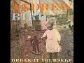 Belles - Andrew Bird