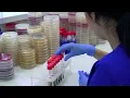 QuestSelect laboratory savings
