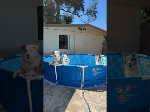 Fill it up already!