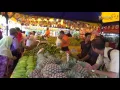 Download Lagu Fruits in Malaysia
