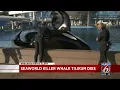 SeaWorld killer whale Tilikum dies