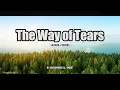 Download Lagu A Peaceful Nasheed | Muhammad Al-Muqit - The Way of Tears.