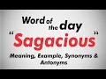 Word of the Day I Sagacious I Meaning Pronunciation Example Synonyms Antonyms I Vocab Builder