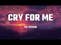 The Weeknd - Cry For Me (Lyrics)