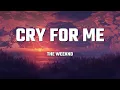 Download Lagu The Weeknd - Cry For Me (Lyrics)