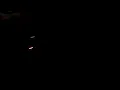 Attack Attack! - Intro/Stick Stickly live 6/12/09