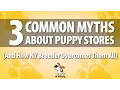 Puppies for Sale Westchester NY - 3 Common Myths