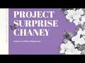 Pastor s Office - Surprise Makeover
