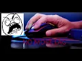 ULTIMATE INPUT LAG GUIDE