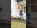 The Best DIY Pest Control