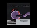 The Orb - The Orb's Adventures Beyond The Ultraworld CD2 (2006)