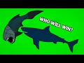 Lagu Fish Eat Fish | Megalodon VS Dunkleosteus | Animation‼️