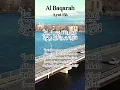 Muammar Z A - Surah Al Baqarah 156 #murottal #shortsvideo #fypシ