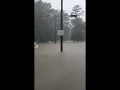 Rescue Crews Assist Residents Affected by South Arkansas Floods