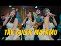 Download Lagu Lili Amora - TAK CULEK MATAMU - Nangiso tak culek matamu