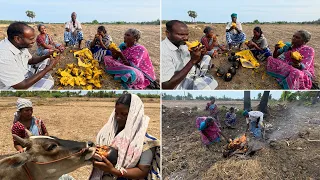வயிறு வலிக்க சிரிக்கவைக்கும்  நகைச்சுவை / குடும்பத்தோடு ஜாலியாக பனம்பழம் சுட்டு சாப்பிடபோறோம்