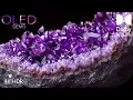 Download Lagu OLED Demo HDR 4K Ultra HD Dolby Vision™ 60fps