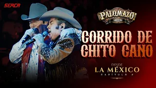 Palomazo Norteño - Corrido de Chito Cano ( Video Oficial )