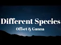 Download Lagu Offset \u0026 Gunna - Different Species (Lyrics)