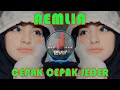 DJ Amelia x Cepak Cepak Jeder Viral || DJ TikTok Terbaru 2021 Pak Cepak Cepak Jeder Viral TikTok