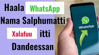 Haala WhatsApp Nama Salphumatti Xalafu Itti Dandeessan 