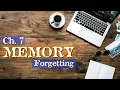 NOTES - AP Ch 06 Memory Forgetting