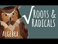 What are ROOTS and RADICALS Algebra